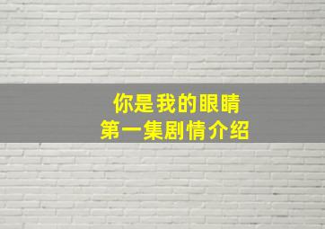 你是我的眼睛第一集剧情介绍