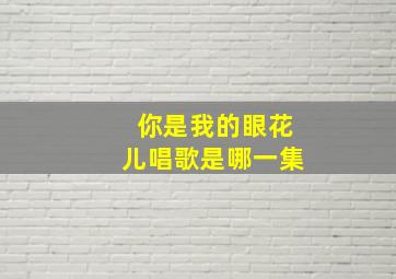 你是我的眼花儿唱歌是哪一集