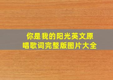 你是我的阳光英文原唱歌词完整版图片大全