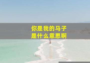 你是我的马子是什么意思啊