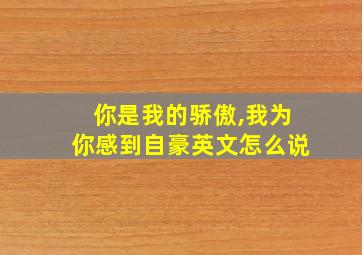 你是我的骄傲,我为你感到自豪英文怎么说