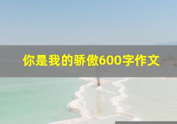 你是我的骄傲600字作文