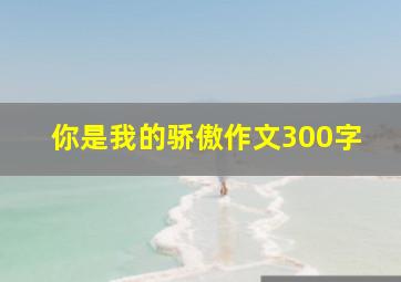 你是我的骄傲作文300字