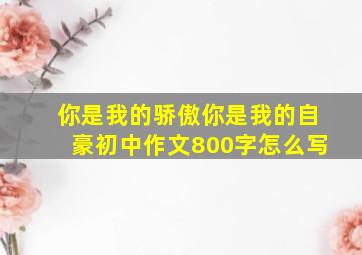 你是我的骄傲你是我的自豪初中作文800字怎么写