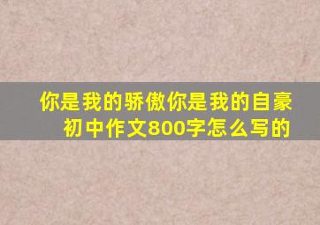 你是我的骄傲你是我的自豪初中作文800字怎么写的