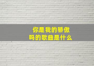 你是我的骄傲吗的歌曲是什么