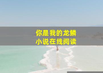 你是我的龙鳞小说在线阅读