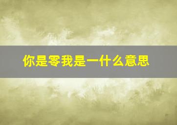 你是零我是一什么意思