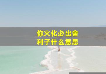 你火化必出舍利子什么意思