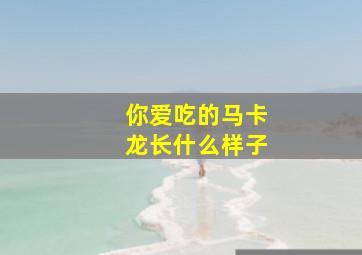 你爱吃的马卡龙长什么样子