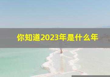 你知道2023年是什么年