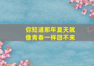 你知道那年夏天就像青春一样回不来