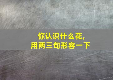 你认识什么花,用两三句形容一下