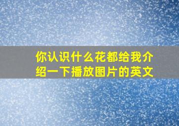 你认识什么花都给我介绍一下播放图片的英文