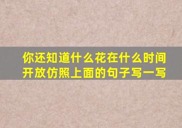 你还知道什么花在什么时间开放仿照上面的句子写一写