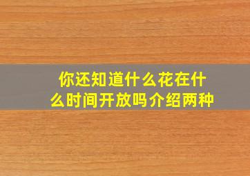 你还知道什么花在什么时间开放吗介绍两种