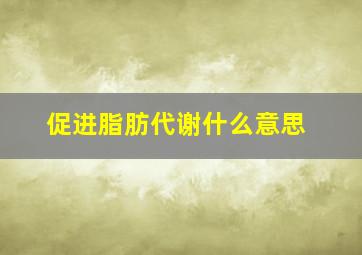 促进脂肪代谢什么意思