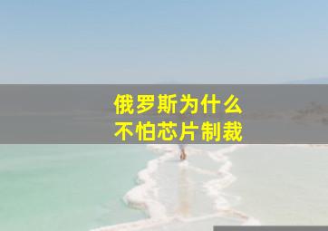 俄罗斯为什么不怕芯片制裁