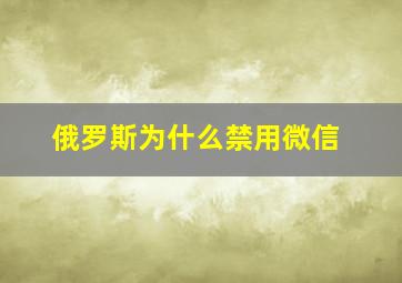 俄罗斯为什么禁用微信