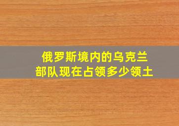 俄罗斯境内的乌克兰部队现在占领多少领土