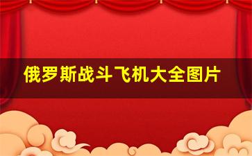 俄罗斯战斗飞机大全图片