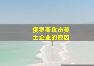 俄罗斯攻击美土企业的原因