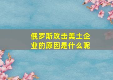 俄罗斯攻击美土企业的原因是什么呢