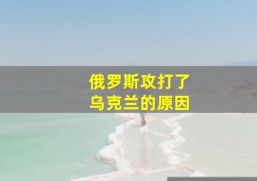 俄罗斯攻打了乌克兰的原因