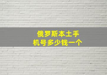 俄罗斯本土手机号多少钱一个