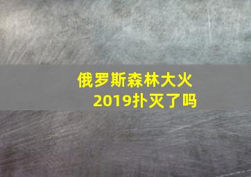 俄罗斯森林大火2019扑灭了吗