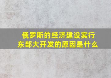 俄罗斯的经济建设实行东部大开发的原因是什么