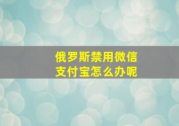 俄罗斯禁用微信支付宝怎么办呢