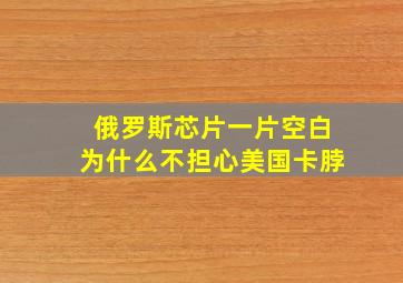 俄罗斯芯片一片空白为什么不担心美国卡脖