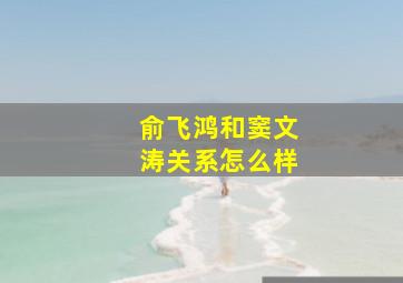 俞飞鸿和窦文涛关系怎么样