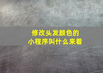 修改头发颜色的小程序叫什么来着