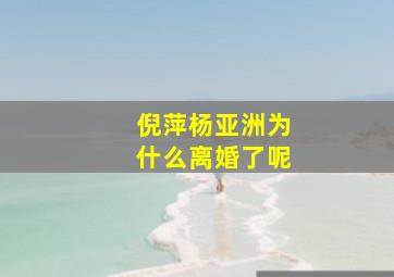 倪萍杨亚洲为什么离婚了呢