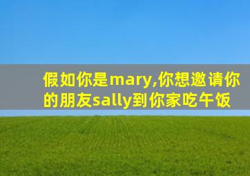 假如你是mary,你想邀请你的朋友sally到你家吃午饭