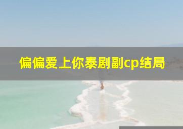 偏偏爱上你泰剧副cp结局