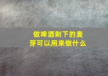 做啤酒剩下的麦芽可以用来做什么