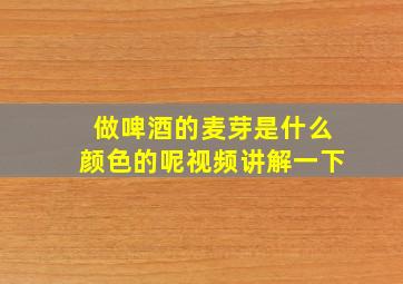 做啤酒的麦芽是什么颜色的呢视频讲解一下