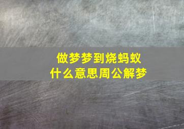 做梦梦到烧蚂蚁什么意思周公解梦