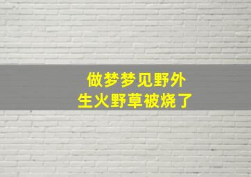 做梦梦见野外生火野草被烧了