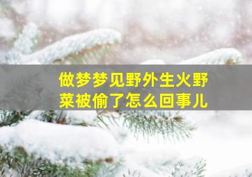 做梦梦见野外生火野菜被偷了怎么回事儿