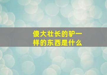 傻大壮长的驴一样的东西是什么