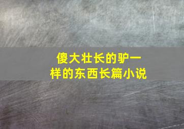 傻大壮长的驴一样的东西长篇小说