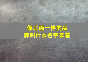 像北面一样的品牌叫什么名字来着