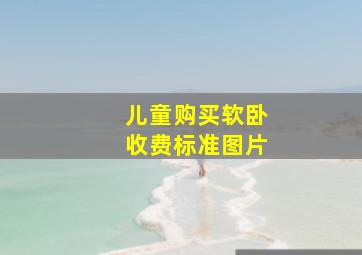 儿童购买软卧收费标准图片