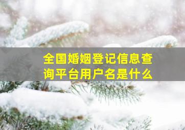 全国婚姻登记信息查询平台用户名是什么