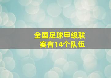 全国足球甲级联赛有14个队伍