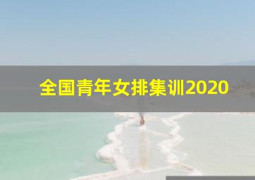 全国青年女排集训2020